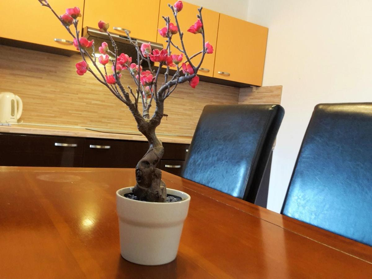Apartman Slavkov Home & Parking Нова Лесна Екстер'єр фото